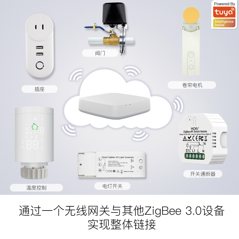 Product Gallery Image